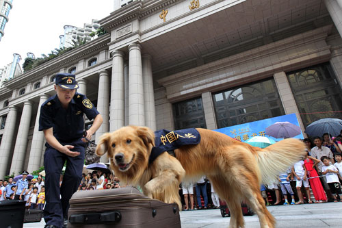 广州市民与海关“明星缉毒犬”亲密接触