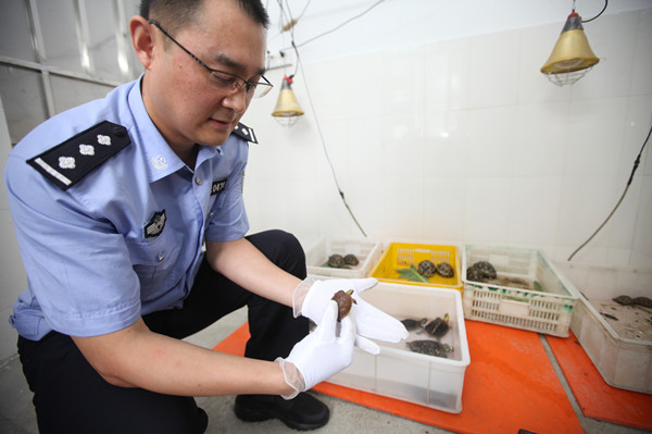 广州海关破获一宗走私活体动物入境案