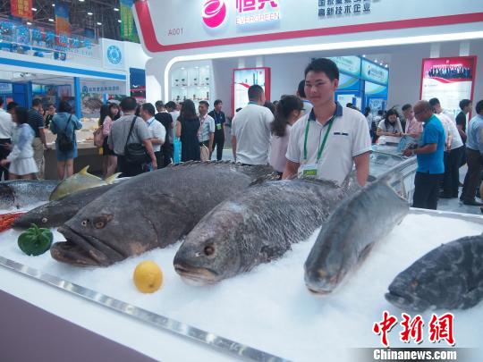 2018中国水博会在广东湛江举行 逾3000家国内外客商参会